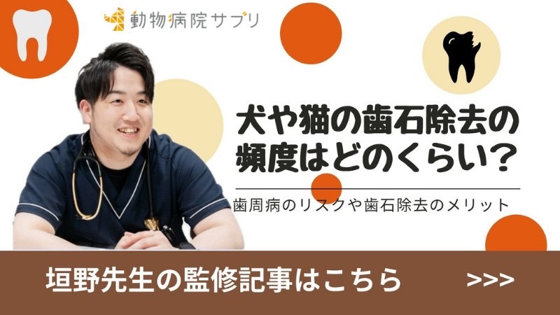 倉敷動物愛護 お知らせ