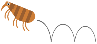 倉敷　動物病院　ノミ